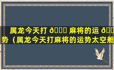 属龙今天打 🐛 麻将的运 🌹 势（属龙今天打麻将的运势太空舱房有多少平）